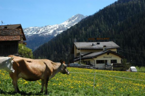 Гостиница Hotel Restaurant Walserhof  Medels Im Rheinwald